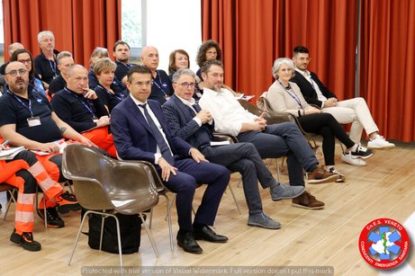 Platea attenta